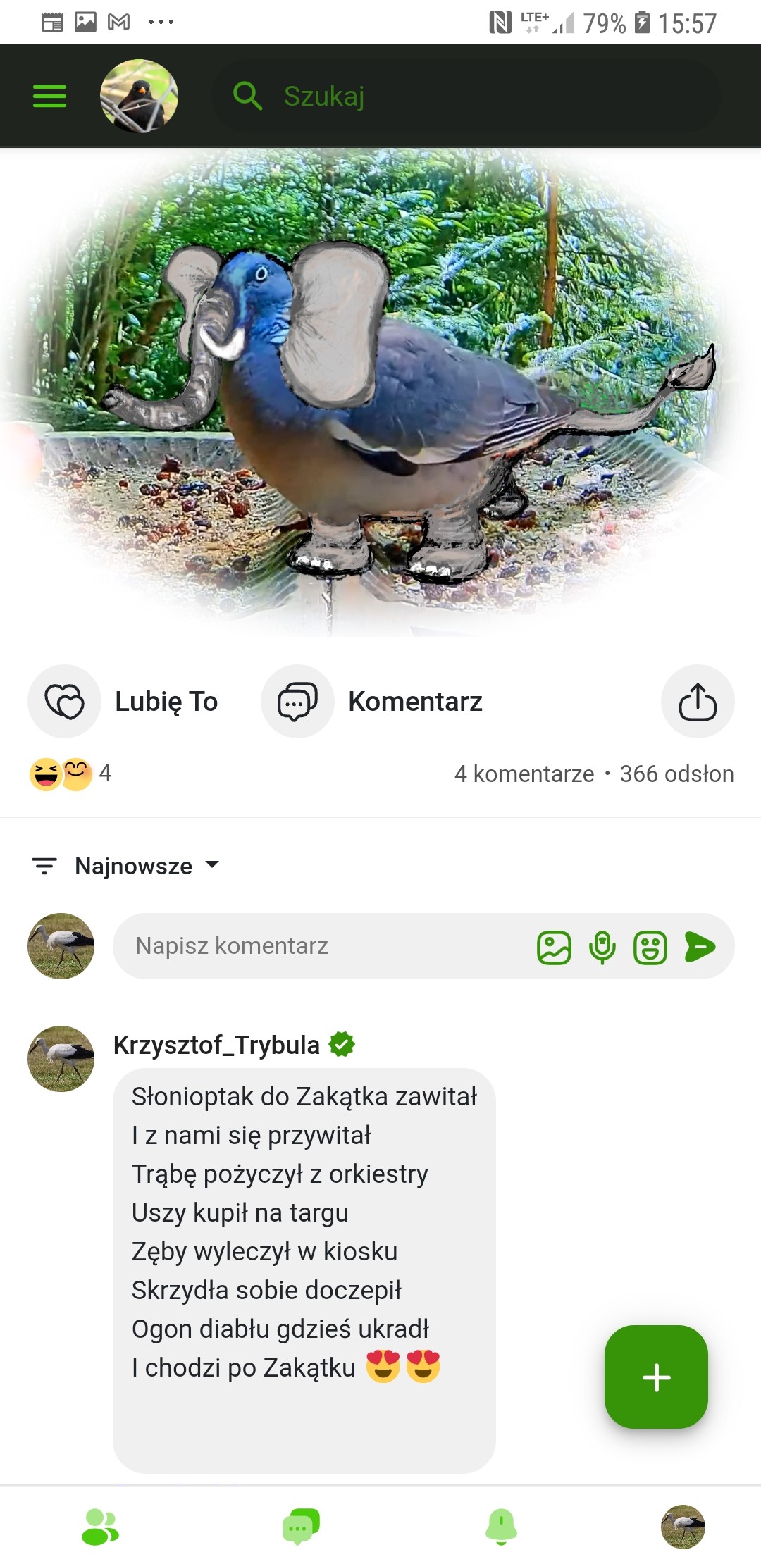 livebirdspoland_c45bb3845f0dad0c0b1dceb49cbc6020.jpg