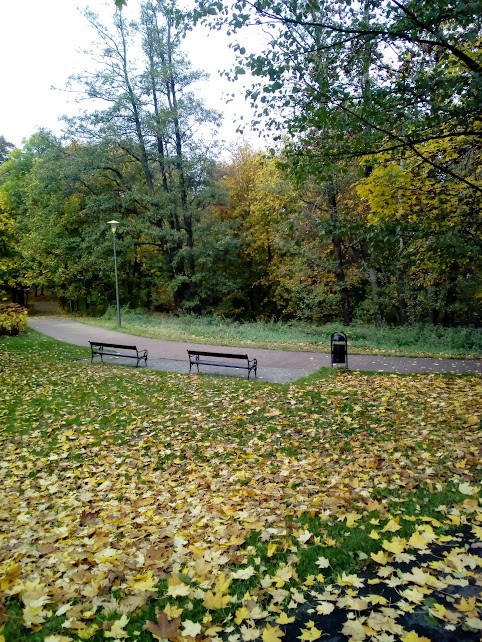 livebirdspoland_6b4a81ba5047d1a79473822d56cff353.jpg