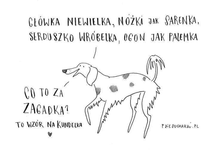 livebirdspoland_7a21a8881c16f73a45f7e862a115e5ff.jpg