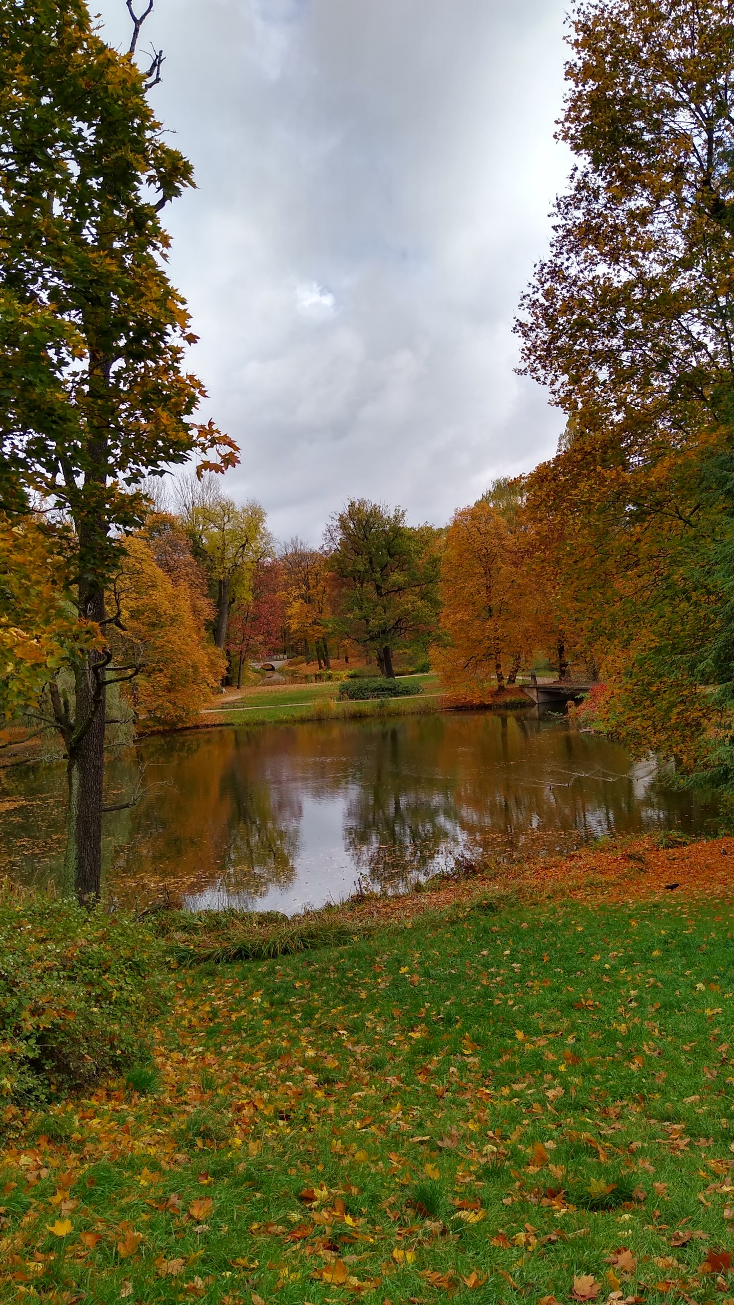 livebirdspoland_597327f591499b948e62da4e66a319d7.jpg