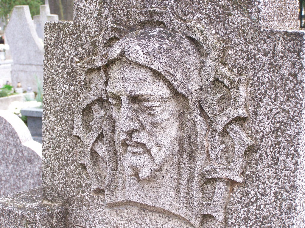 livebirdspoland_d2a8aa5b815215d0b2886ee920f4772c.jpg