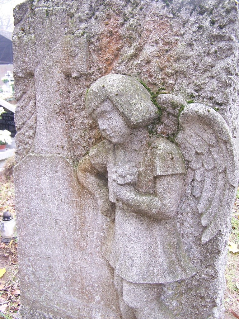 livebirdspoland_0692e8934352e9e9c9011b9e2913b0d4.jpg