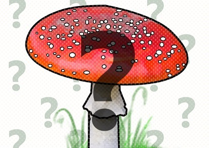 livebirdspoland_1230a2cba97006e29445a9e94596fd50.png