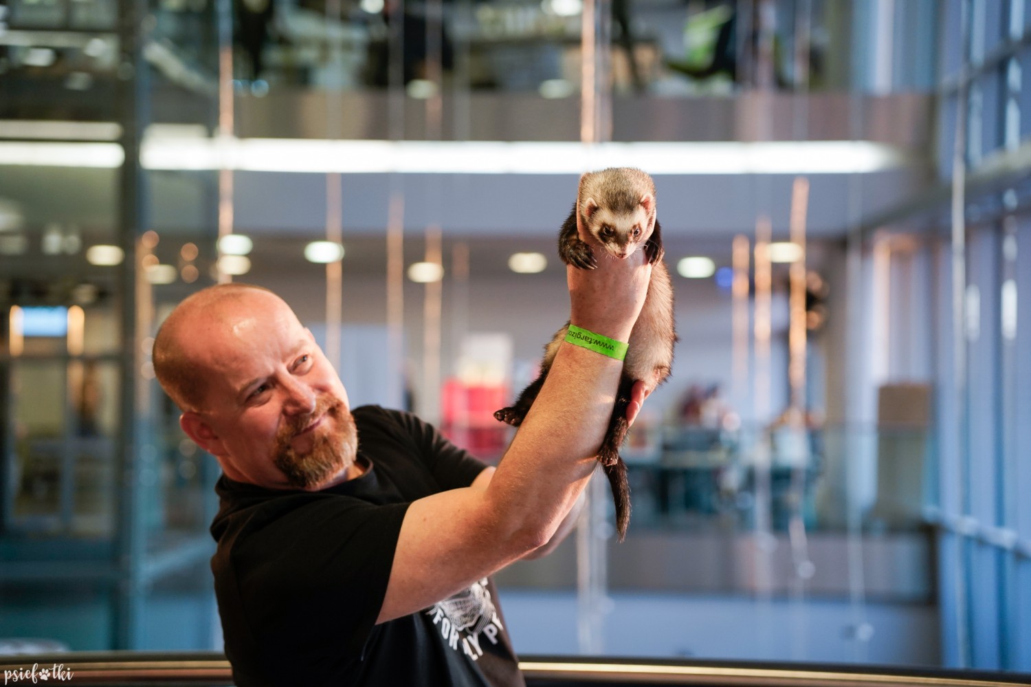 livebirdspoland_af611f7999e847f852cf19b40fa84451.jpg