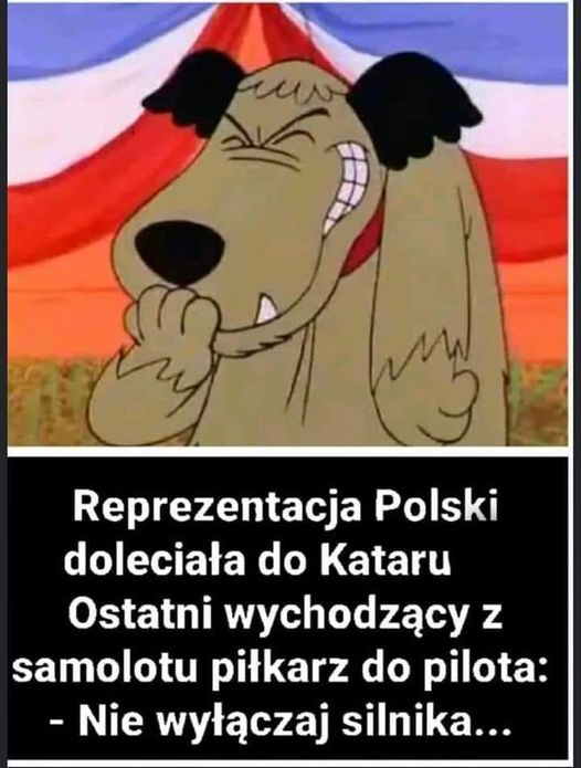 livebirdspoland_a73b63700b5f962ca3cd1bd9258b9862.png