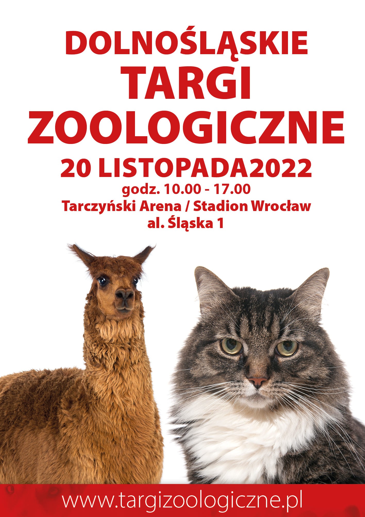 livebirdspoland_b6d9af1a3987a27181844034837c66e9.jpg