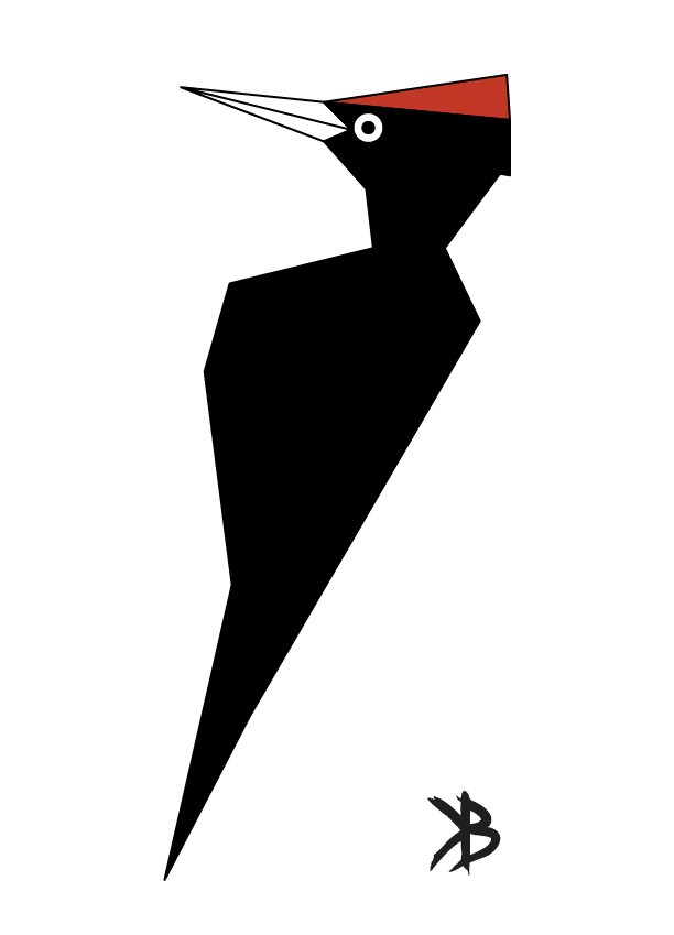 livebirdspoland_c0437540b666c7bf54ba0e877598c654.jpg