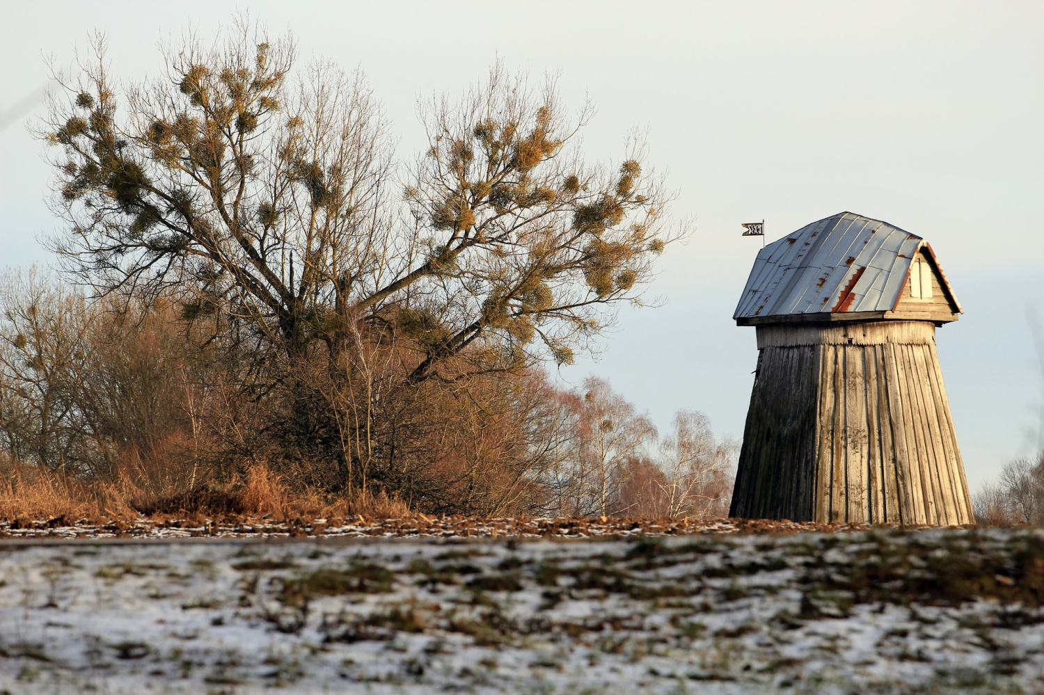 livebirdspoland_b944c3d587f4f1f365800e7e3fe7268a.png