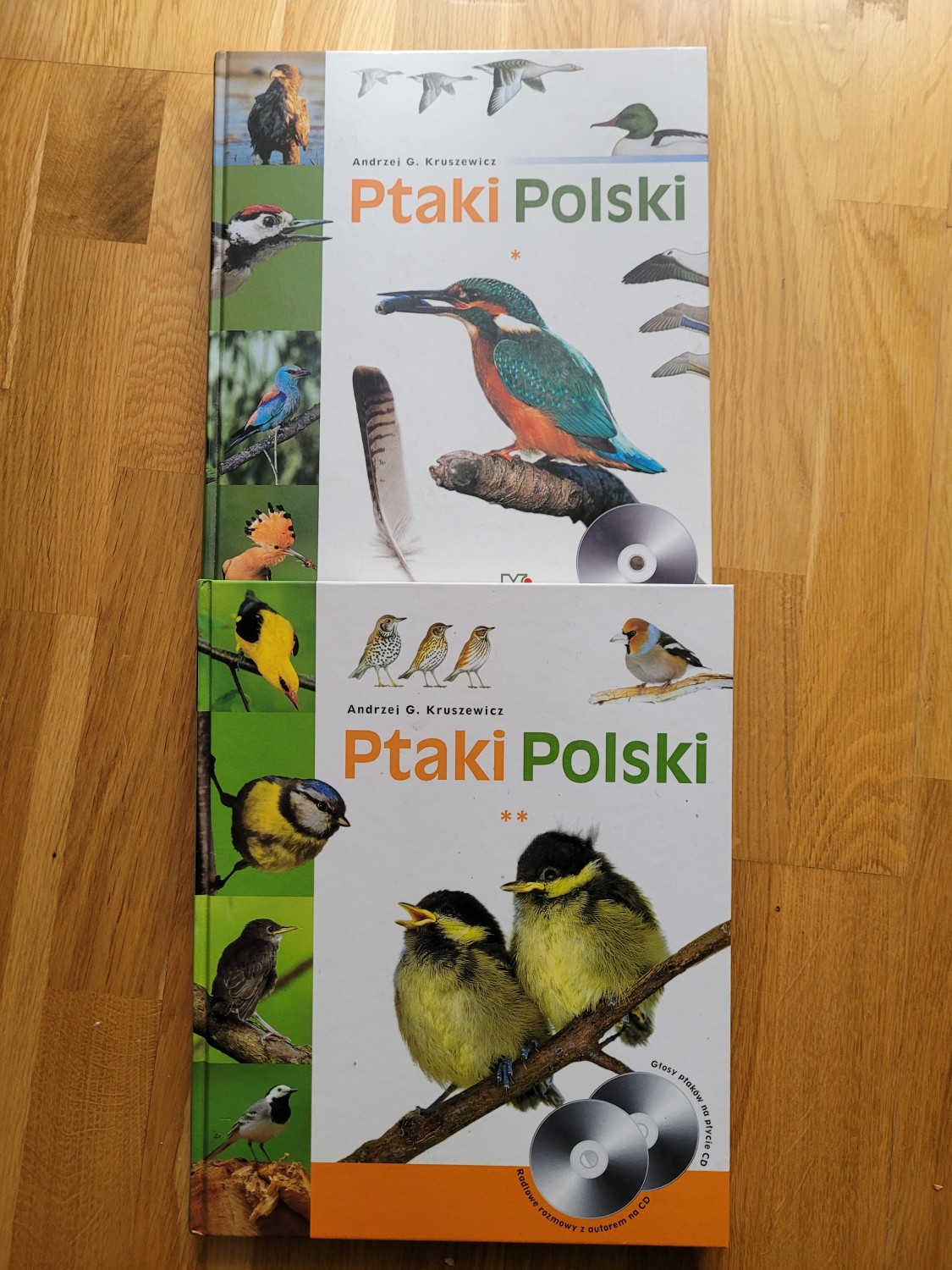 livebirdspoland_23ef3842ec5366e79ca6120f95006bb7.jpg