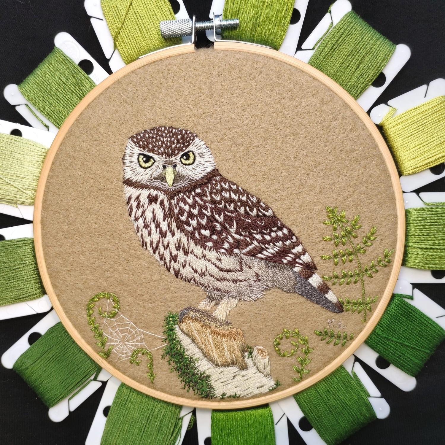 livebirdspoland_51ca9f35594fedc0131c647658a6fc3e.jpg