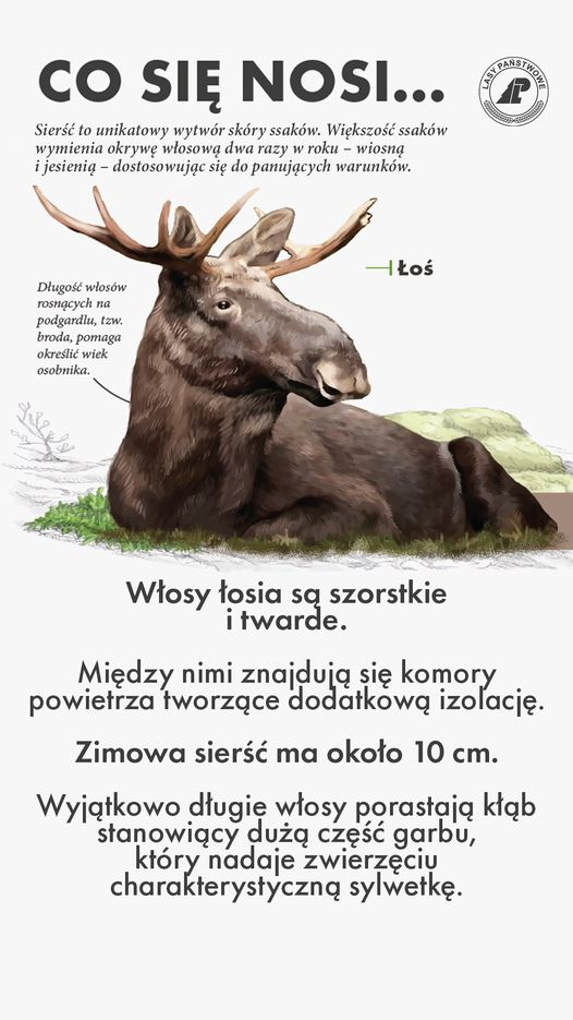 livebirdspoland_b1a75956087c5d21f4cd4d7ff0560862.png