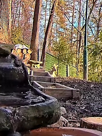 livebirdspoland_5394d317707ec9d1c49d7ace5c1d2973.jpg