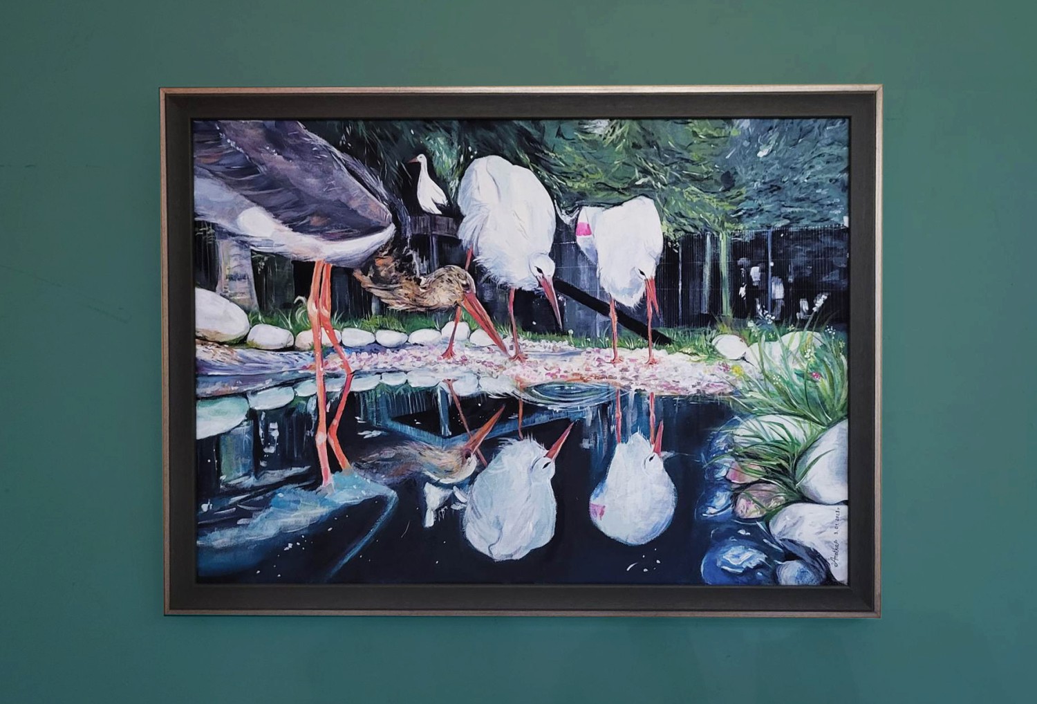 livebirdspoland_ddf8b0d50eeaf399f0e799a719a165c7.jpg