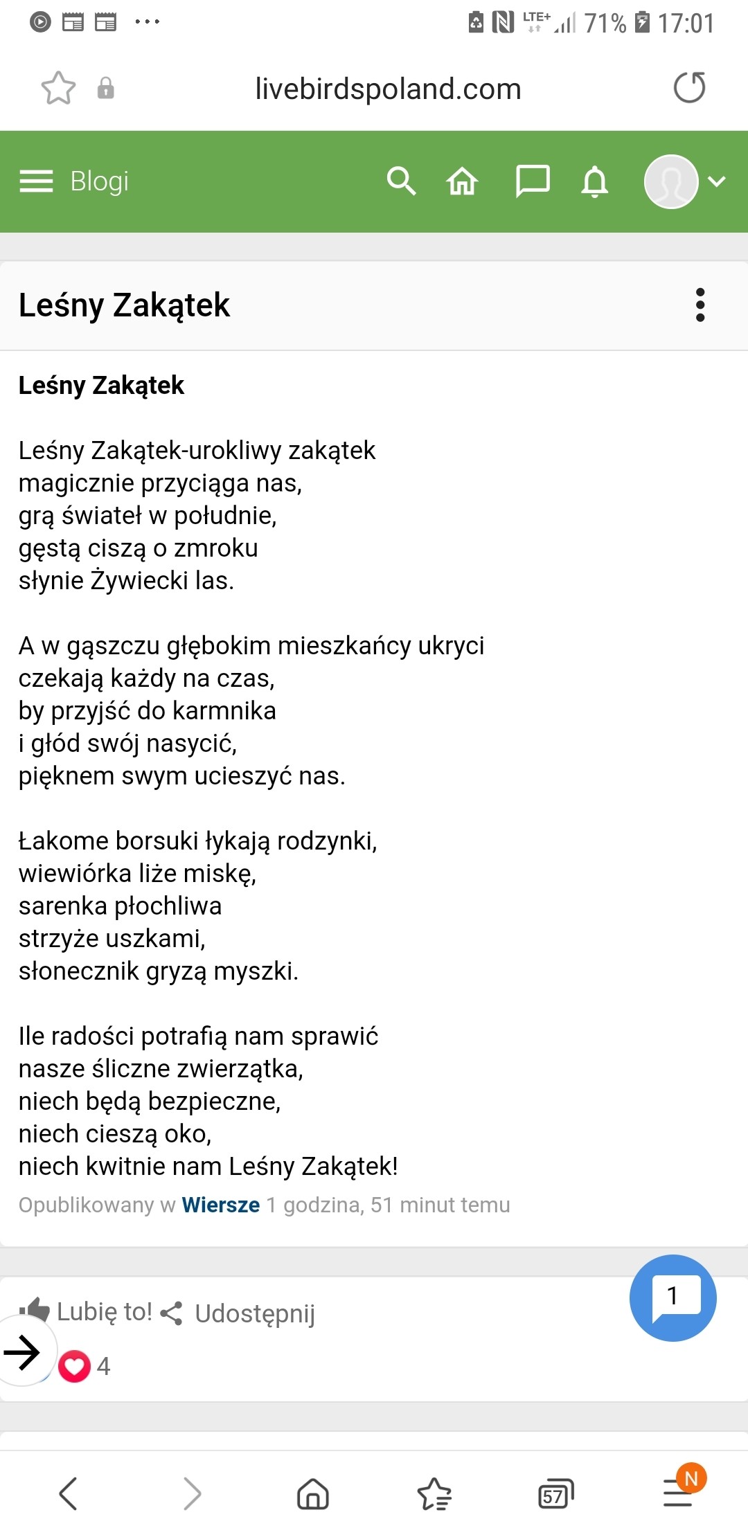 livebirdspoland_f6f23f50f6b082c3aad5251fbf5a28ab.jpg
