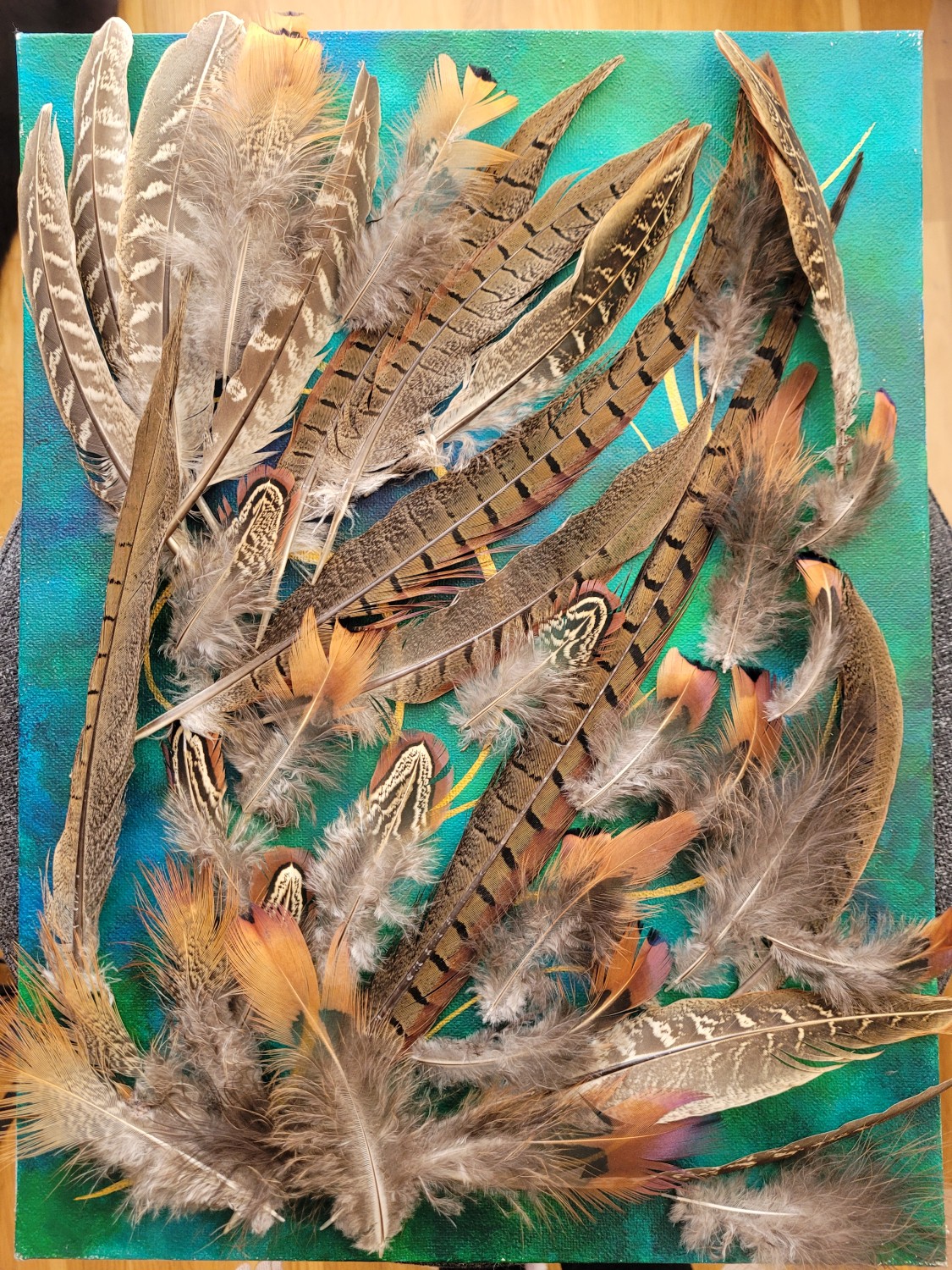 livebirdspoland_d8b8cc67826c67c8907cee01abee12ea.jpg