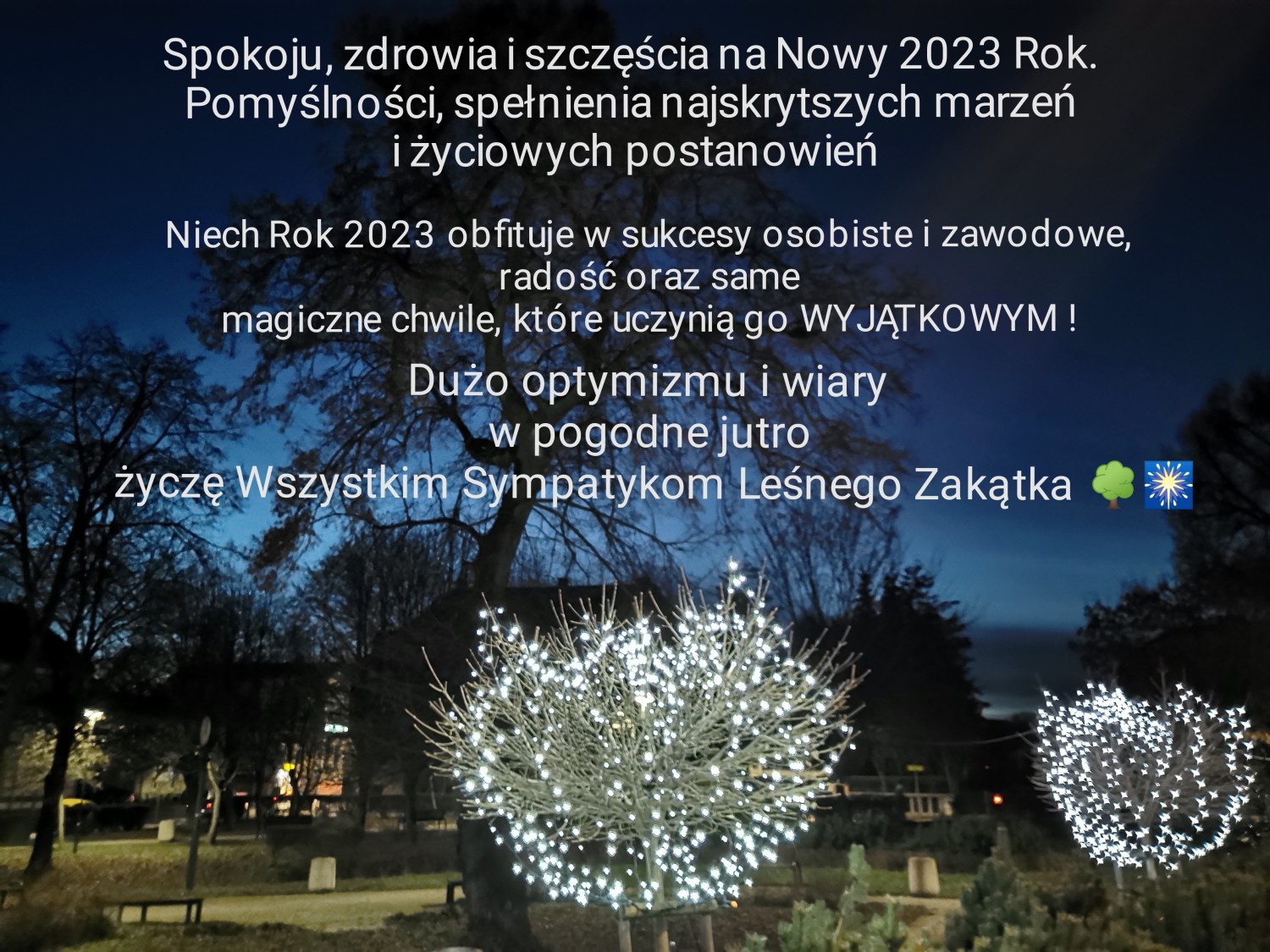 livebirdspoland_0b12f4dba6171a6343fda06dec27636b.jpg