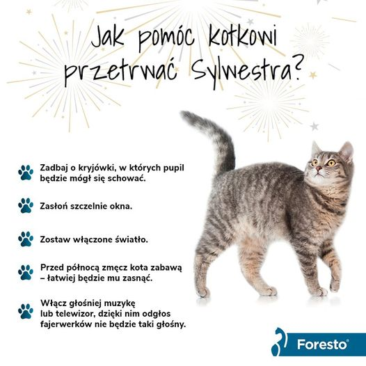livebirdspoland_101b859ea1db4acccf60506281f8caf8.png