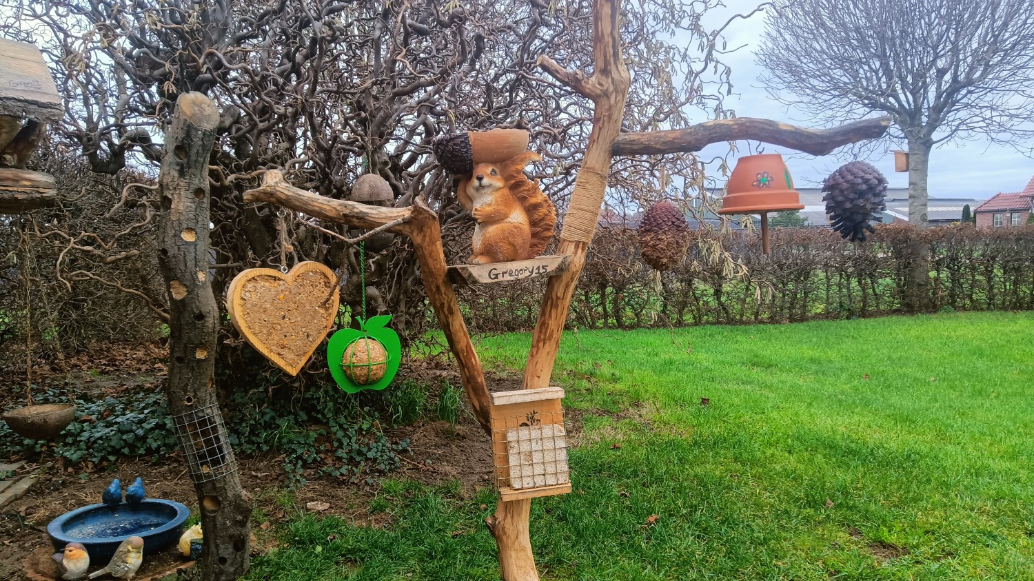 livebirdspoland_99032c6afa6452db8f6a367f3b597dd3.jpg