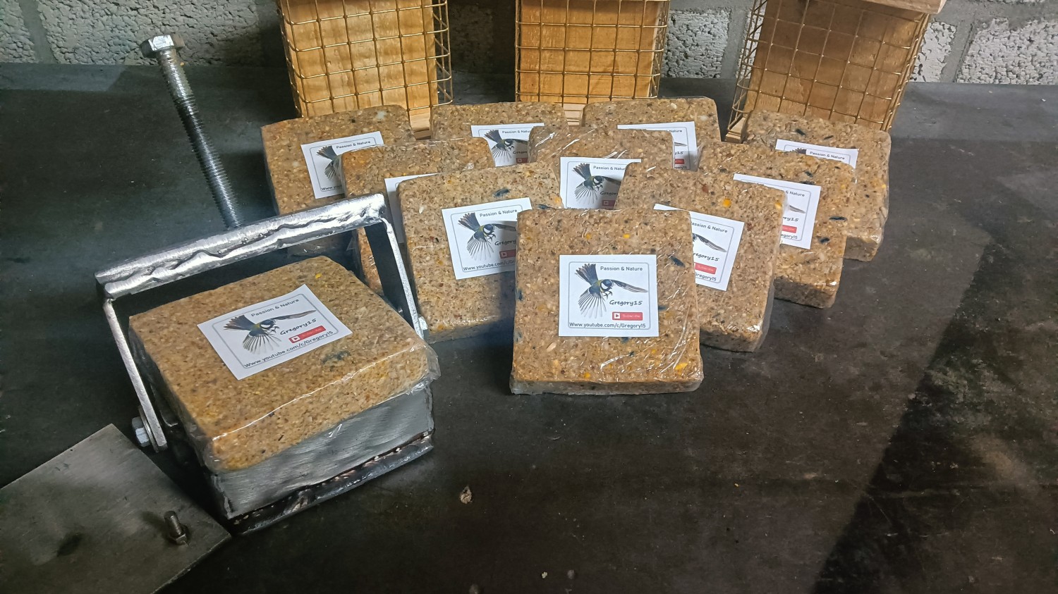 livebirdspoland_3126a09cf6cf8ebcb82c07579c1f5232.jpg