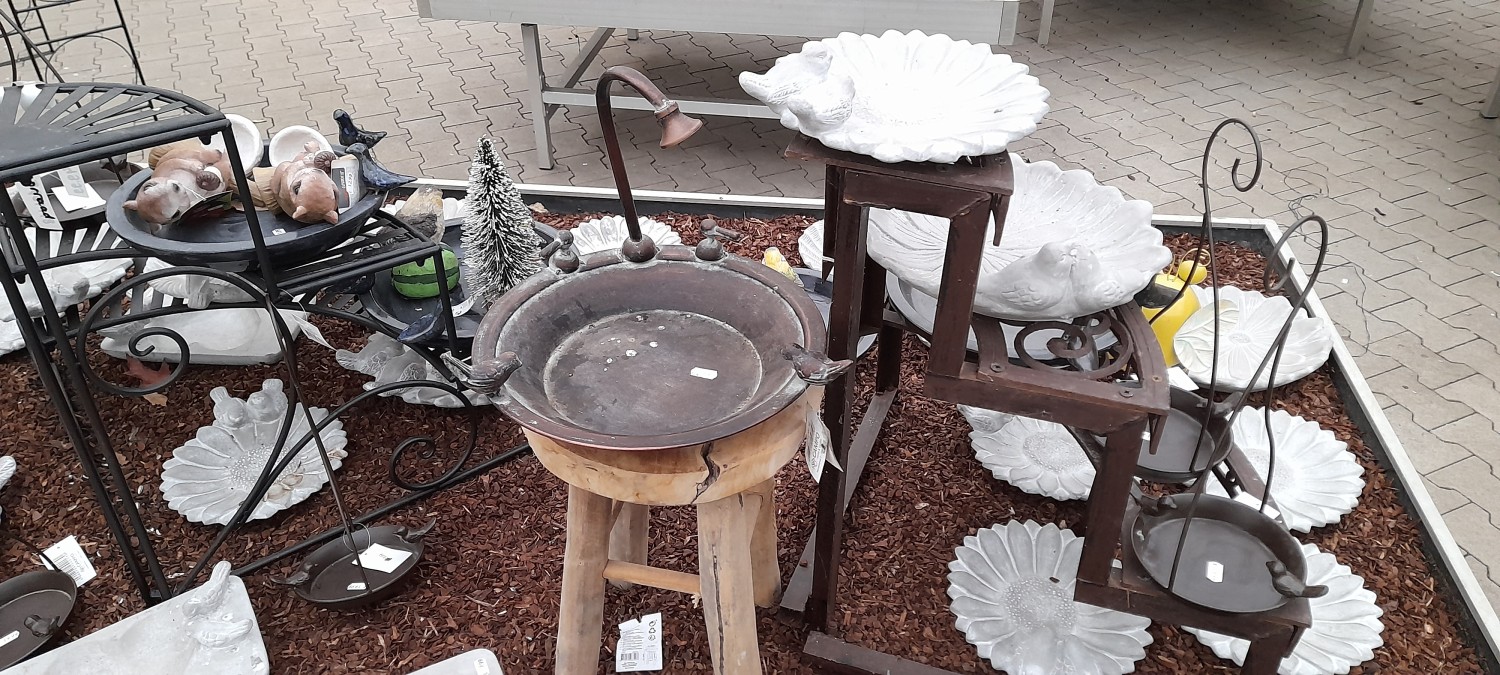 livebirdspoland_1bd4e546ab70bf6fe2bc99534cf2e2ee.jpg