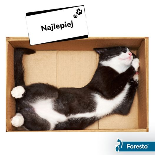 livebirdspoland_952fb5ad69cc5dfe4d9ad645ab245d41.png