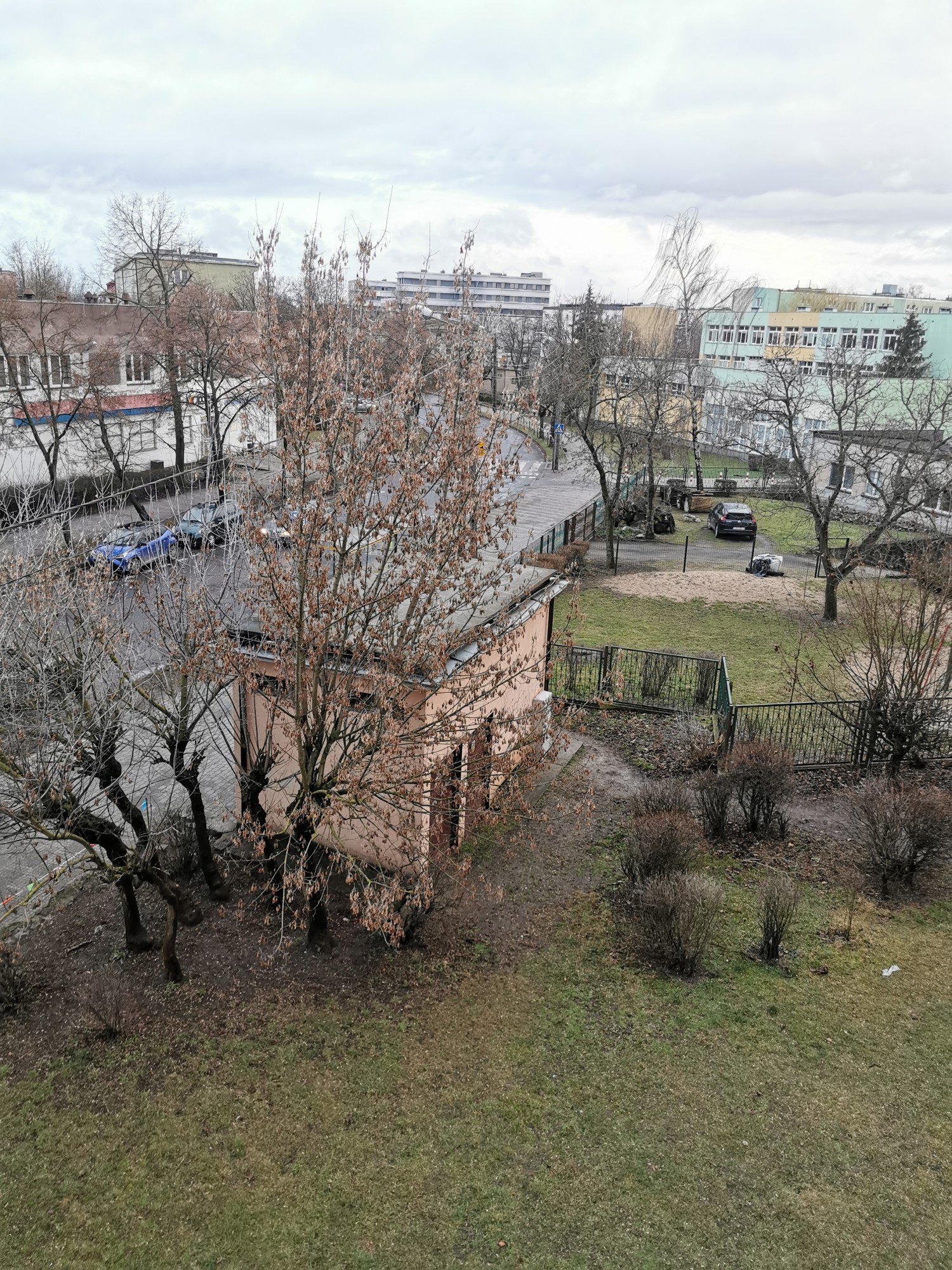 livebirdspoland_cc50d6550d721b5fc556916b55237d3d.jpg
