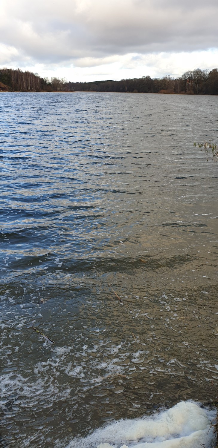 livebirdspoland_f49b3e9eebc0284cf2aee56766f07d42.jpg