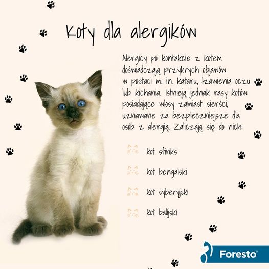 livebirdspoland_d584c4d6c6c7a08098afbfae0a65340c.png
