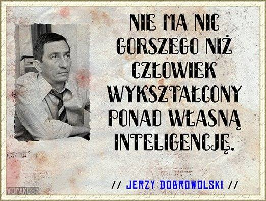 livebirdspoland_265224ee2cd081e1ec633b7c04012df1.png