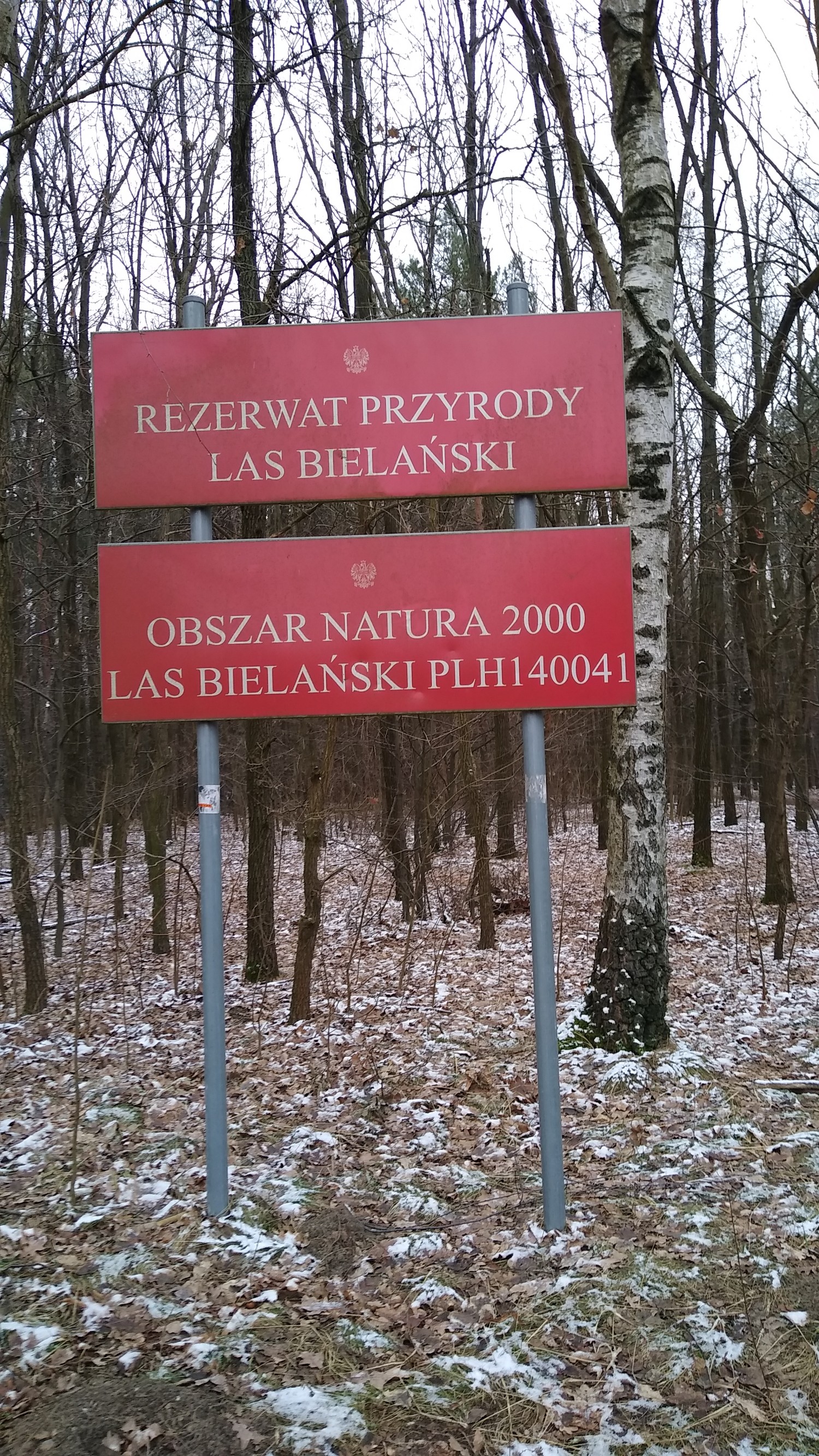 livebirdspoland_38feff493c2f90a3b9cbbe1a7e13bbfd.jpg