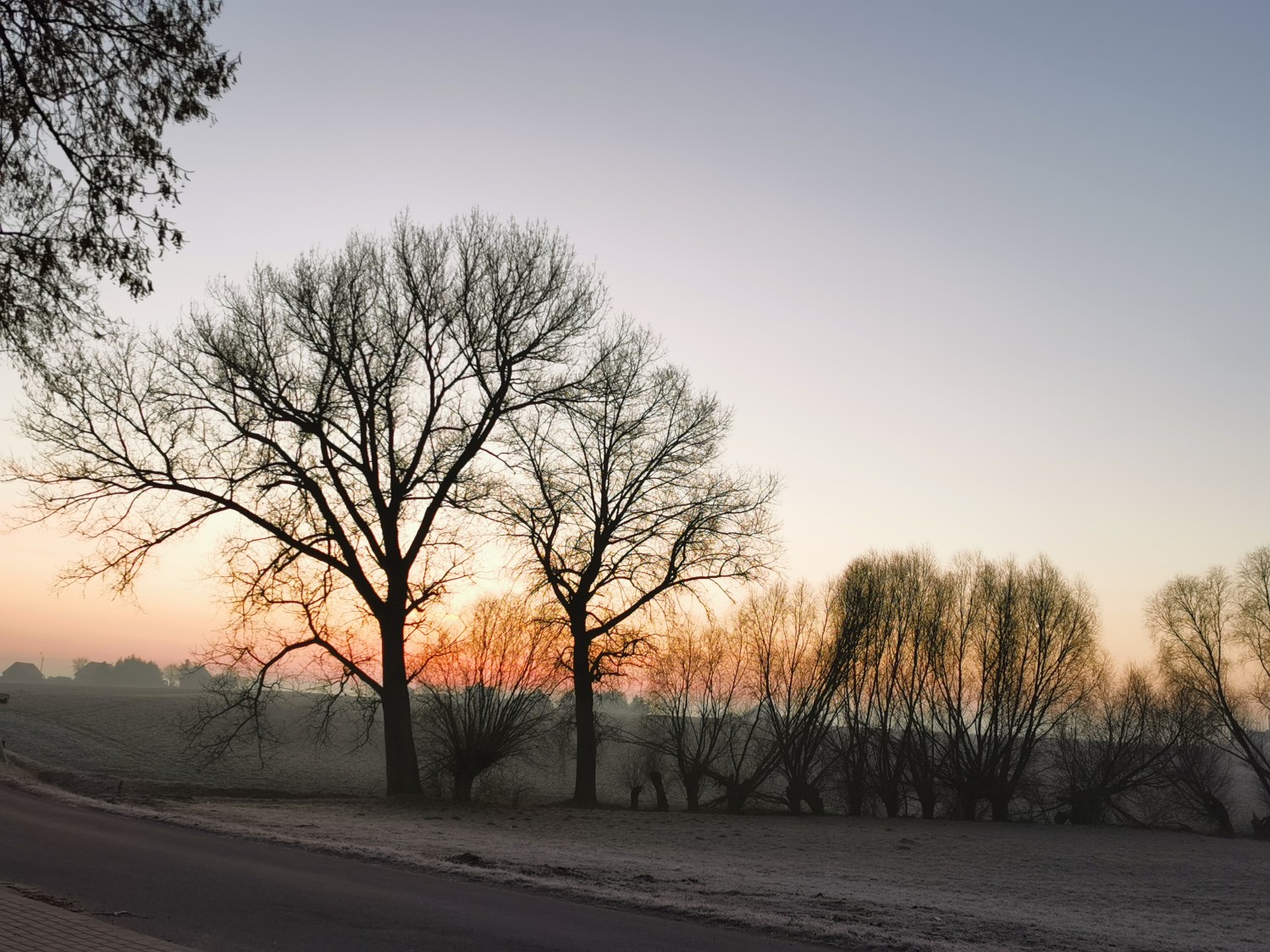 livebirdspoland_c327c20b9337b3769320ca83d8916070.jpg