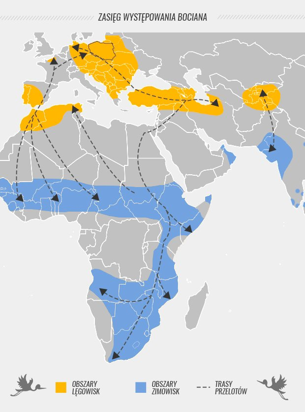 livebirdspoland_9f91dfe4bc898f8b7aa50500c53081d7.png