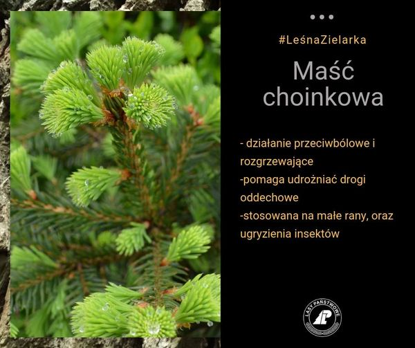 livebirdspoland_8c2750edf5dfa53a3715d3eefa236442.png