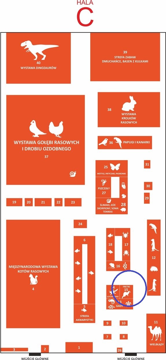 livebirdspoland_2e5a7c6457dfbc89c3ddbd330f749cd8.jpg