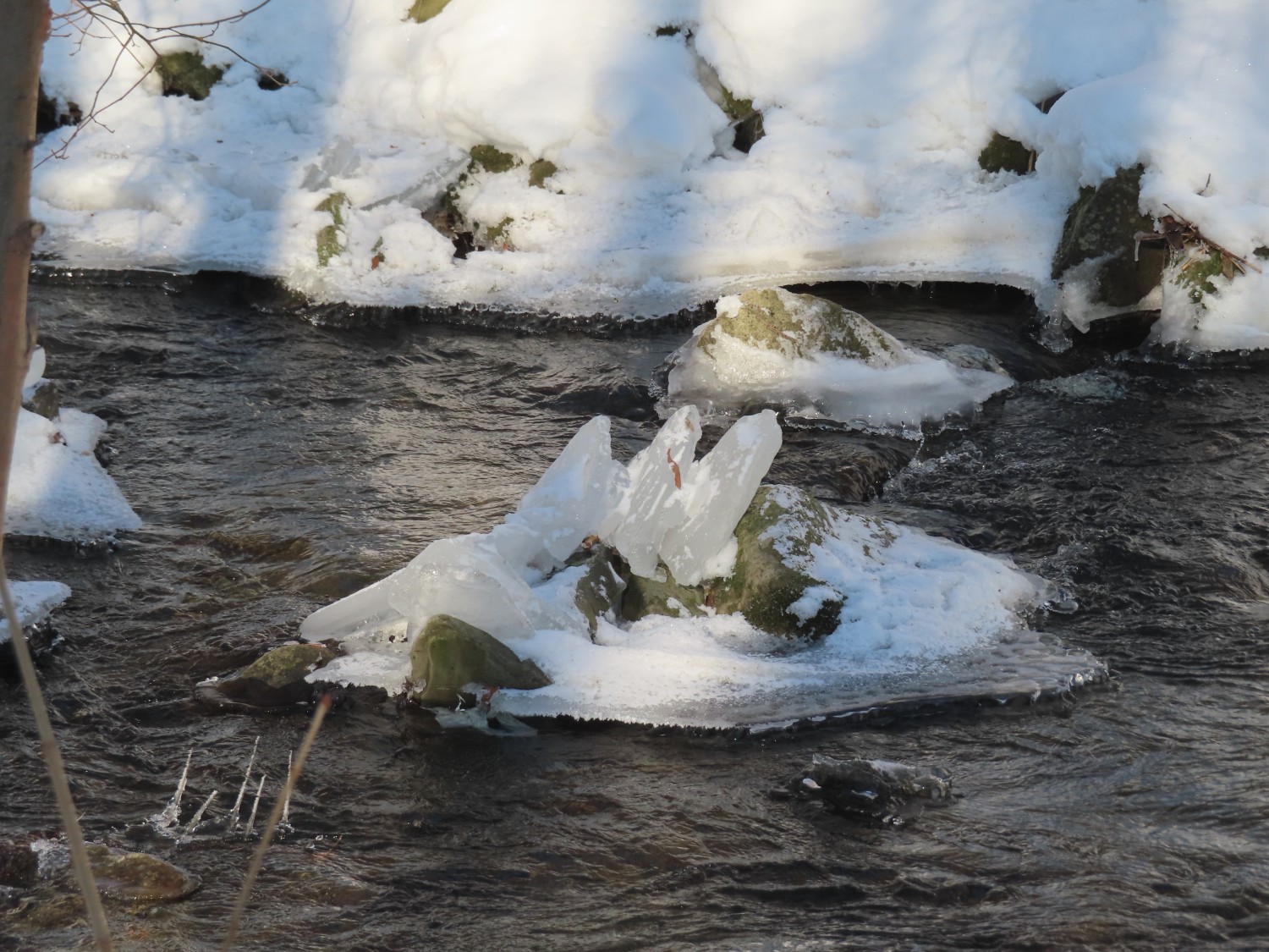 livebirdspoland_3d42969cd229d1364091e20977ec8614.jpg