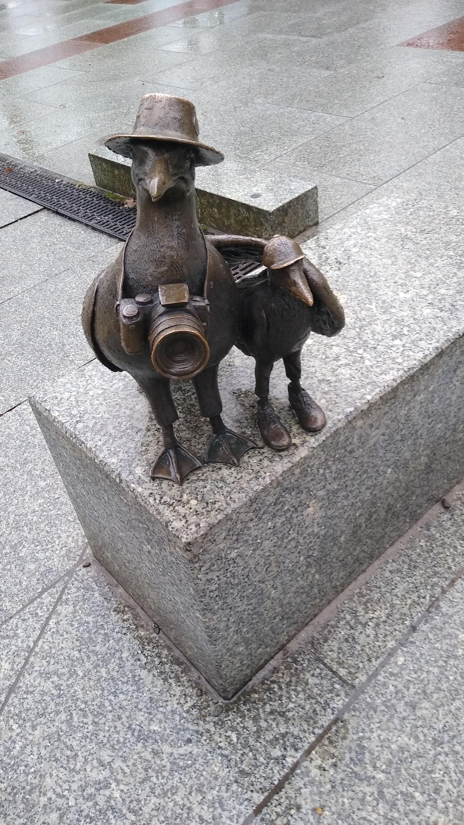 livebirdspoland_a84b07263d9e034206e9c04b6140249a.jpg