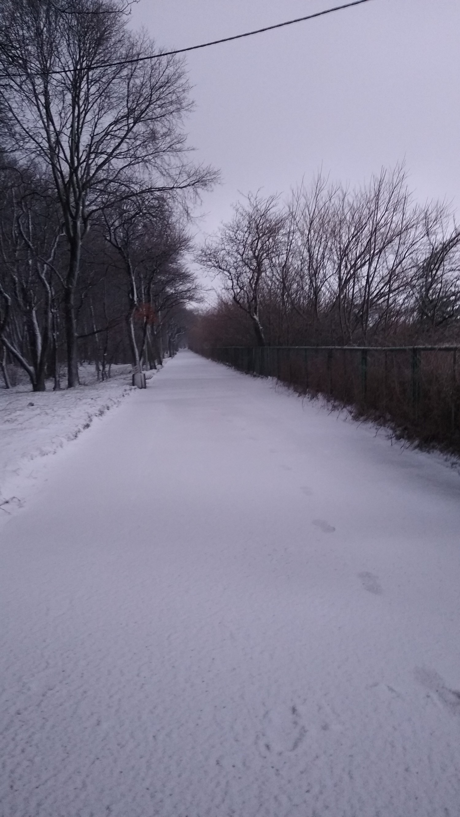 livebirdspoland_7cc001f277218b280f89b8953cfe4545.jpg