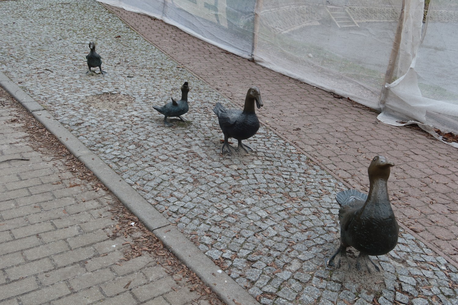 livebirdspoland_9e62dd8938c8771c32bdb6bdb78c2b2a.jpg