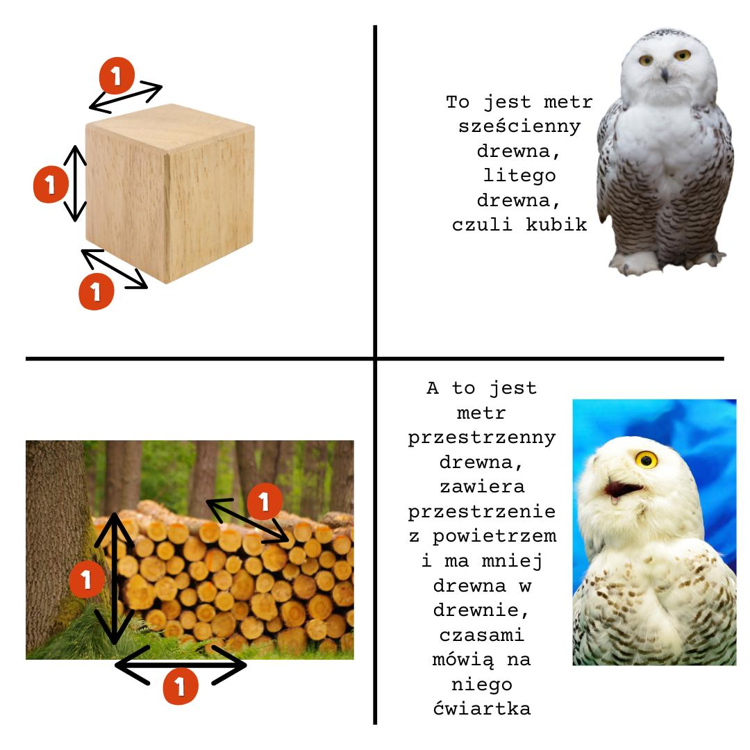 livebirdspoland_0bb48d7710c7229b93a7cf2e9267f7b3.png