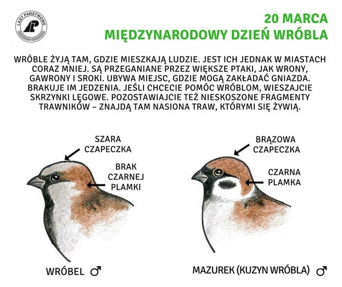 livebirdspoland_d67e474ff8ea4aaeafd36c1f6e627ca9.png