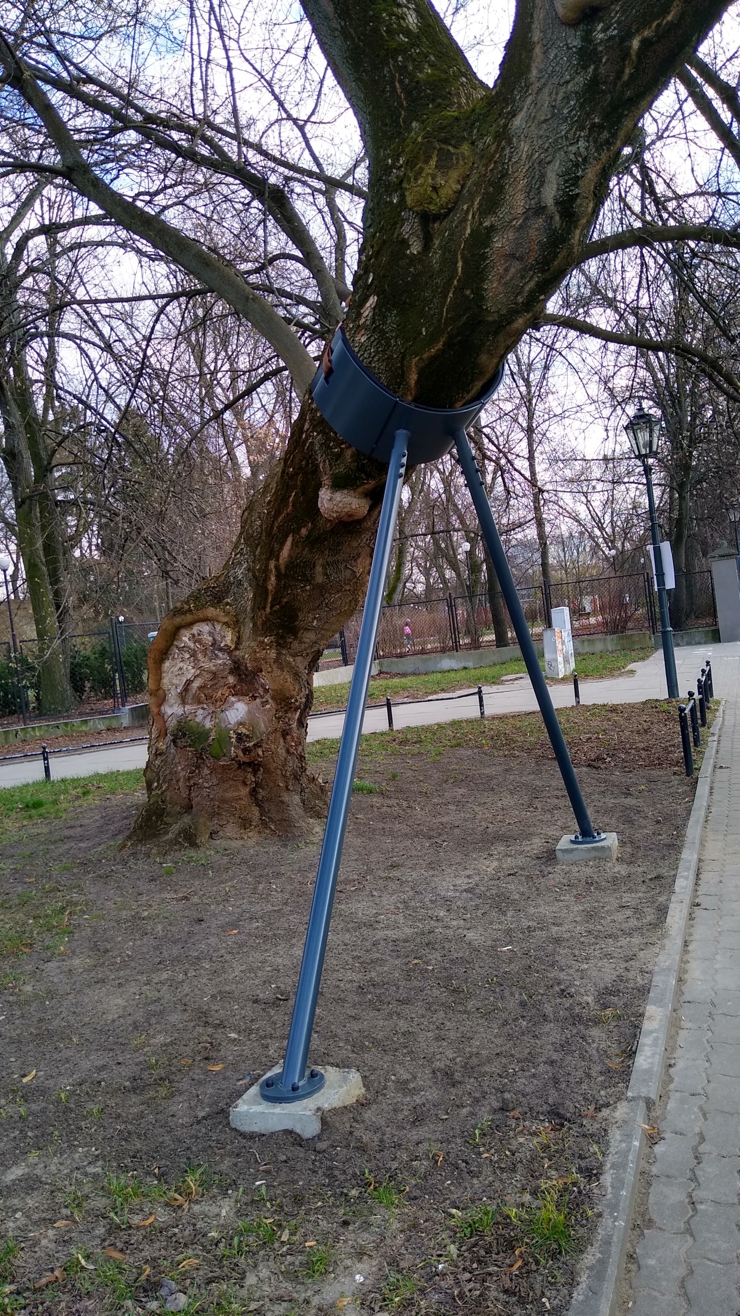livebirdspoland_74143d4e2ef5e50d975f76b0469ffad0.jpg