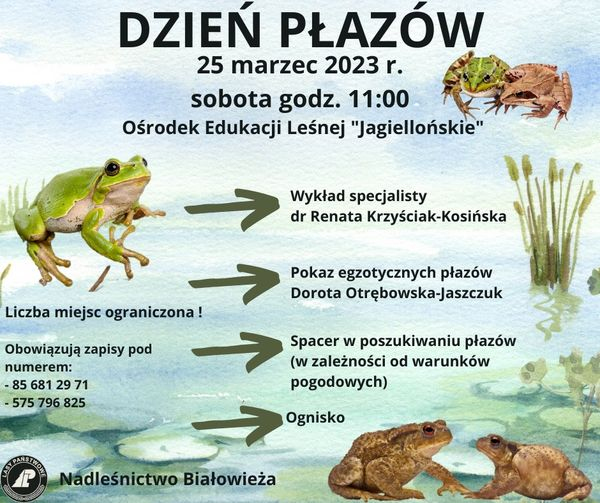livebirdspoland_f5aa106a0a1c6c30efa6fbfdcd66d7c7.png