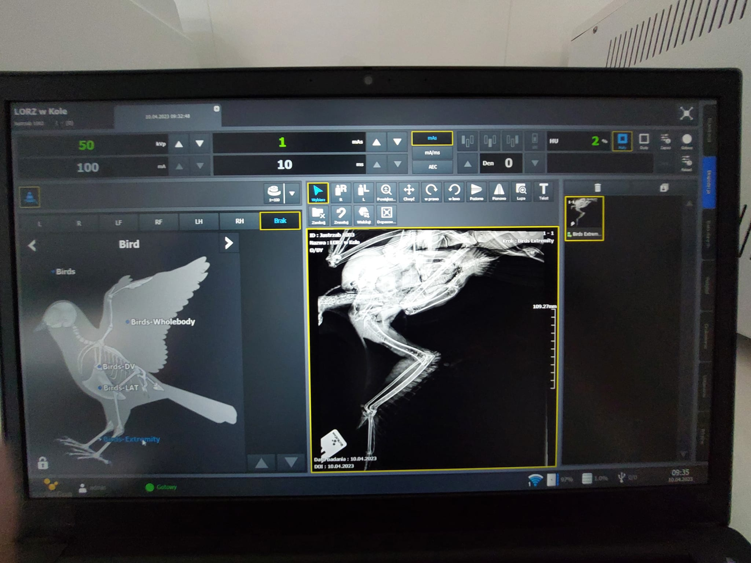 livebirdspoland_587263c061c061eece46e6c2d9d7a63f.png