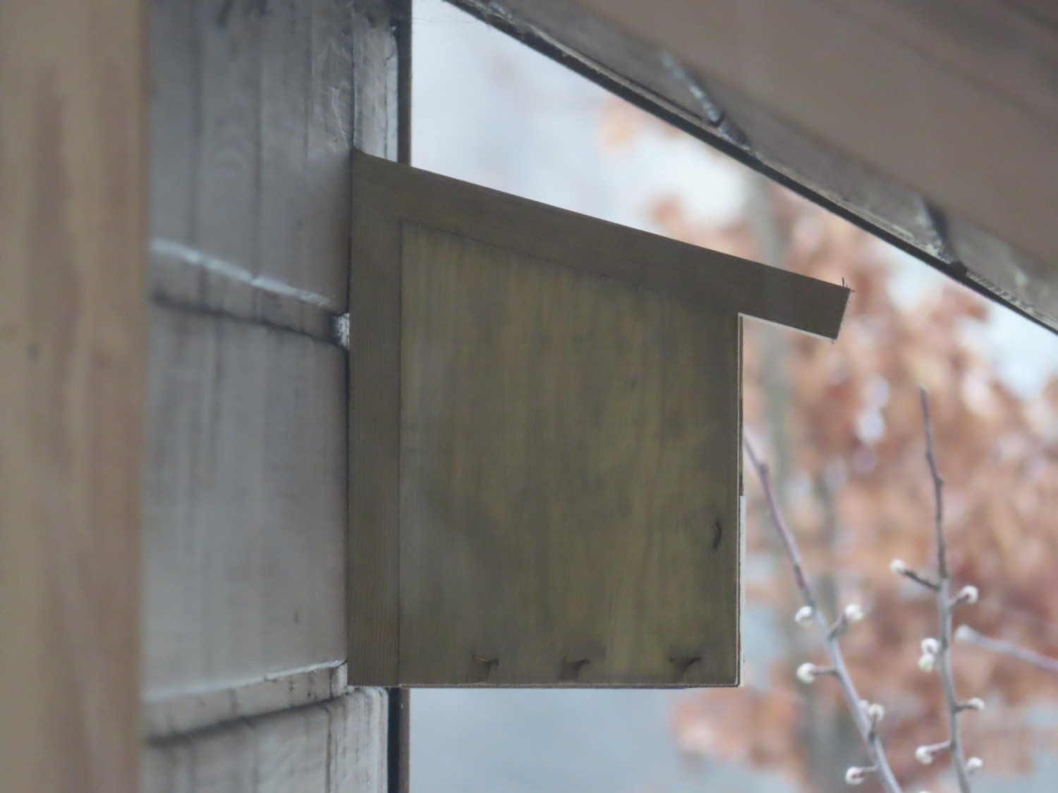 livebirdspoland_6f89240b011a5e487662b06239b95550.jpg
