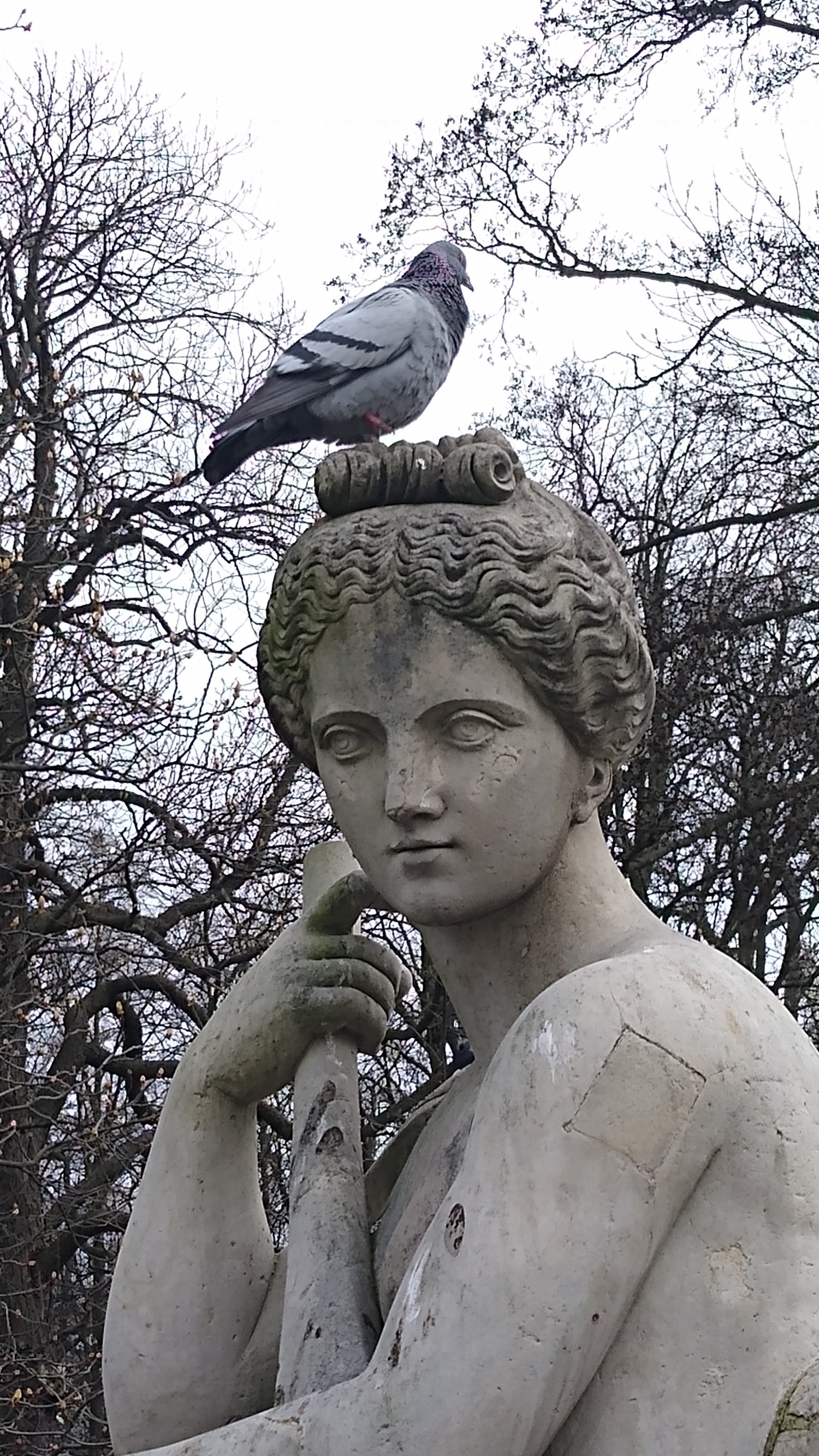 livebirdspoland_4a3b58084e5f2d4447fc96d2b76ab008.jpg