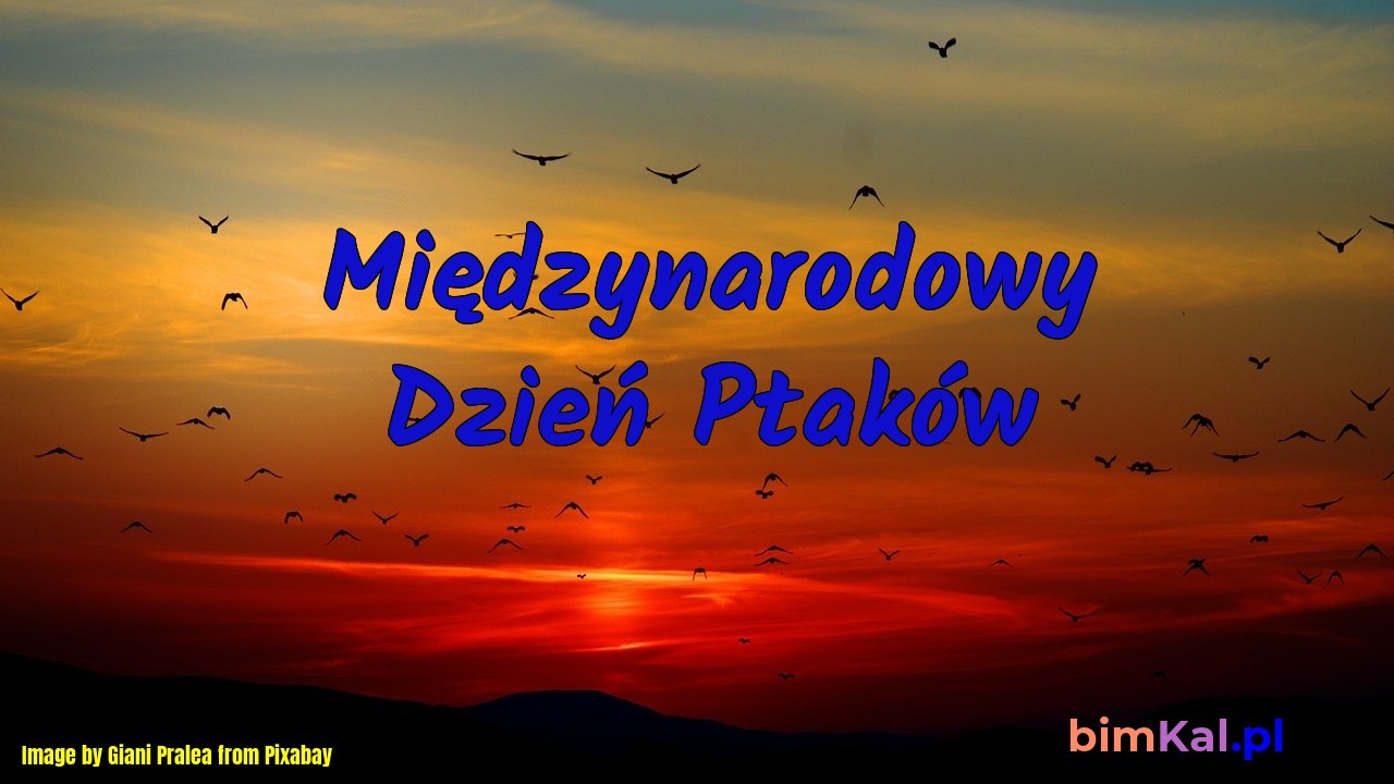 livebirdspoland_14169e5ebaaaead415d1031b1c276485.jpg