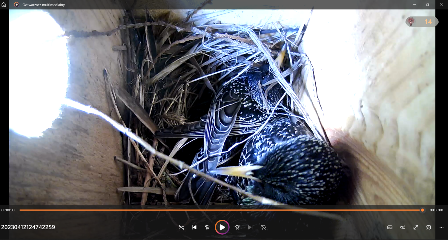 livebirdspoland_30c941031419a3bae00e0b2c515b9871.png