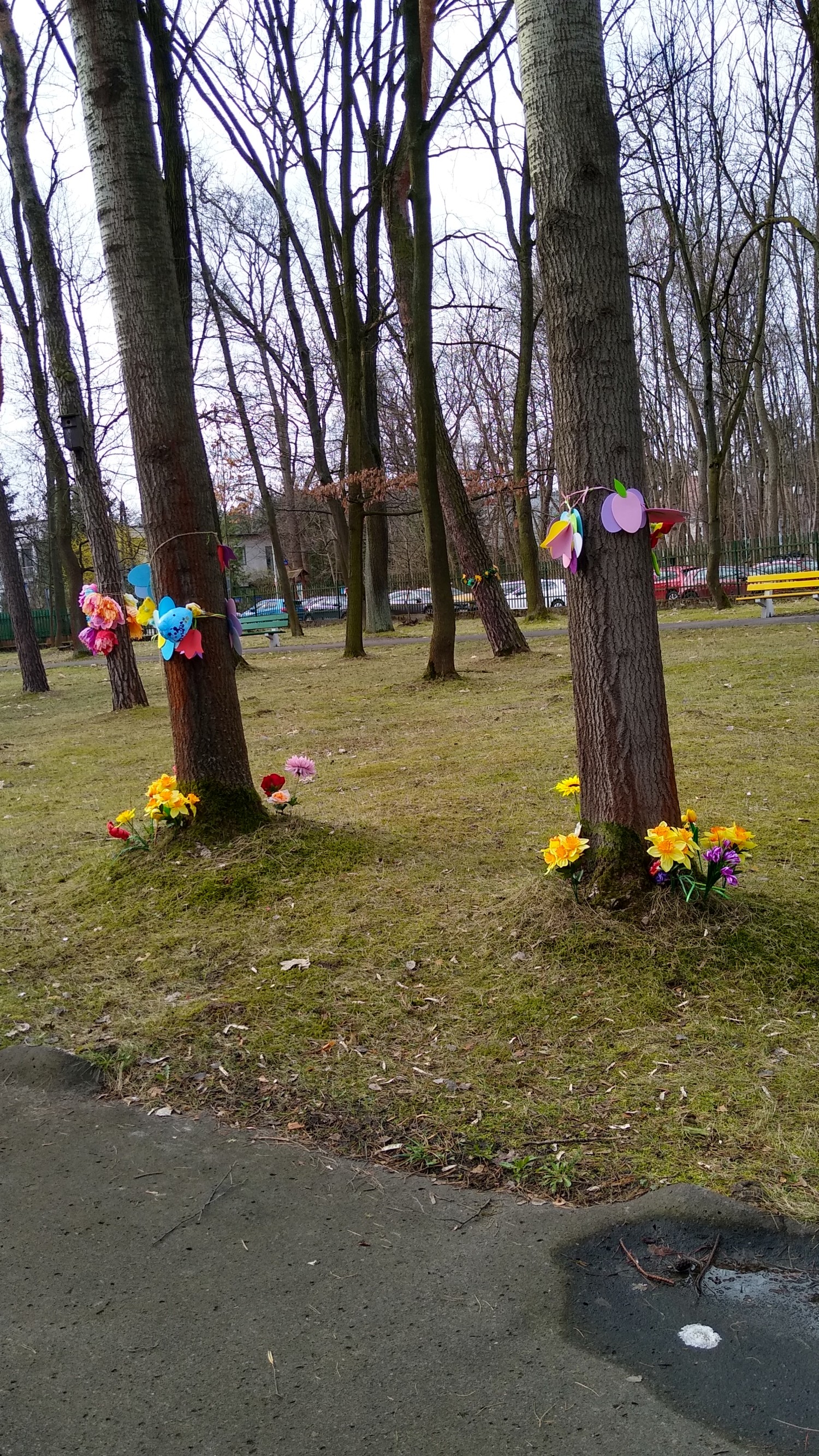 livebirdspoland_f34cc752dc77f6abdf0c8ca9e38465aa.jpg
