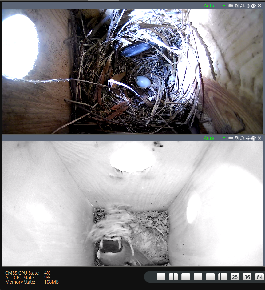 livebirdspoland_ce45e68518dcab5f5ef16548bc0a13fe.png