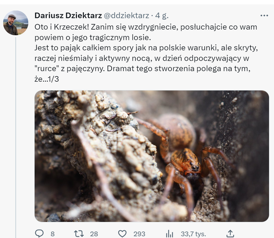 livebirdspoland_cd7aaf42dfb846cb0bb7bf931ba771ea.png